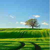 外‍链﻿构﻿建‍